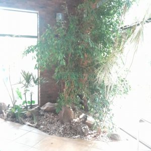 Casa com 400m², 3 dormitórios, 2 vagas, no bairro Santa Catarina em Caxias do Sul para Alugar