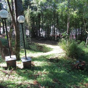 Casa com 400m², 3 dormitórios, 2 vagas, no bairro Santa Catarina em Caxias do Sul para Alugar