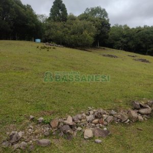 Chácara com 200m², 3 dormitórios, 1 vaga, no bairro Fazenda Souza em Caxias do Sul para Comprar