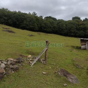 Chácara com 200m², 3 dormitórios, 1 vaga, no bairro Fazenda Souza em Caxias do Sul para Comprar