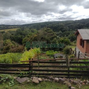Chácara com 200m², 3 dormitórios, 1 vaga, no bairro Fazenda Souza em Caxias do Sul para Comprar