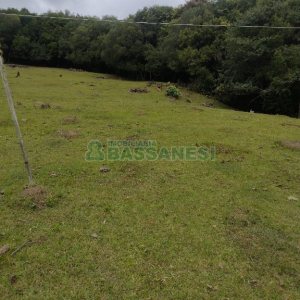 Chácara com 200m², 3 dormitórios, 1 vaga, no bairro Fazenda Souza em Caxias do Sul para Comprar