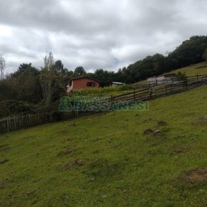 Chácara com 200m², 3 dormitórios, 1 vaga, no bairro Fazenda Souza em Caxias do Sul para Comprar