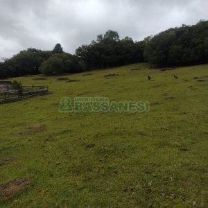 Chácara com 200m², 3 dormitórios, 1 vaga, no bairro Fazenda Souza em Caxias do Sul para Comprar