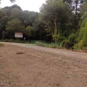 Chácara com 200m², 3 dormitórios, 1 vaga, no bairro Fazenda Souza em Caxias do Sul para Comprar