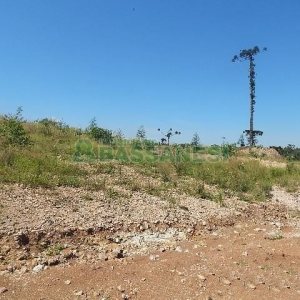 Terreno com 5574m², no bairro Sanvitto em Caxias do Sul para Alugar