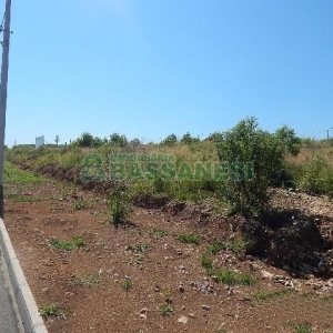 Terreno com 5574m², no bairro Sanvitto em Caxias do Sul para Alugar