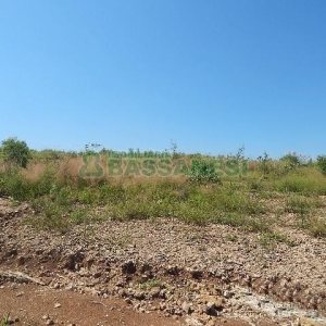 Terreno com 5574m², no bairro Sanvitto em Caxias do Sul para Alugar