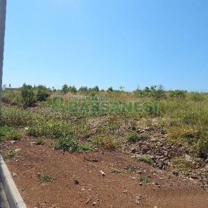 Terreno com 5574m², no bairro Sanvitto em Caxias do Sul para Alugar