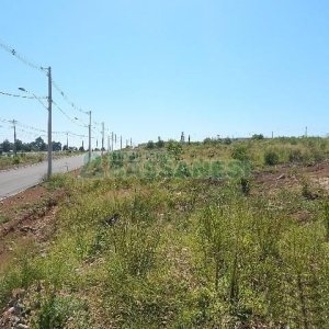 Terreno com 5574m², no bairro Sanvitto em Caxias do Sul para Alugar