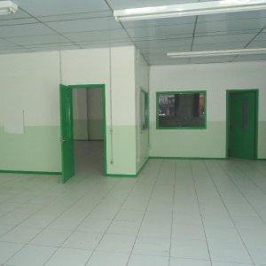 Loja com 5600m², no bairro São Pelegrino em Caxias do Sul para Alugar