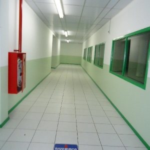 Loja com 5600m², no bairro São Pelegrino em Caxias do Sul para Alugar