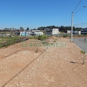 Terreno com 4810m², no bairro Sanvitto em Caxias do Sul para Alugar