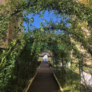 Apartamento com 62m², 2 dormitórios, no bairro Universitário em Caxias do Sul para Alugar