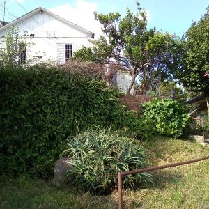 Casa com 80m², 3 dormitórios, 1 vaga, no bairro Rio Branco em Caxias do Sul para Comprar