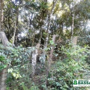 Terreno, no bairro Bom Pastor em Caxias do Sul para Comprar