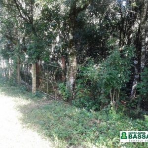 Terreno, no bairro Bom Pastor em Caxias do Sul para Comprar
