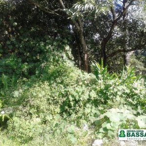 Terreno, no bairro Bom Pastor em Caxias do Sul para Comprar