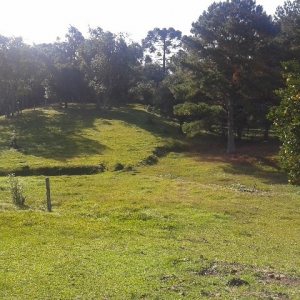 Casa com 80m², 3 dormitórios, 1 vaga, no bairro Jardim Iracema em Caxias do Sul para Comprar