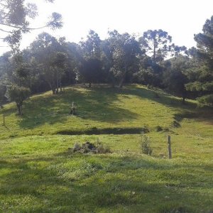 Casa com 80m², 3 dormitórios, 1 vaga, no bairro Jardim Iracema em Caxias do Sul para Comprar