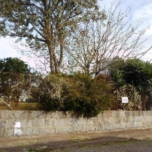 Terreno, no bairro Cinqüentenário em Caxias do Sul para Comprar