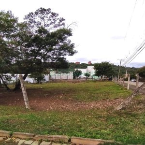 Terreno com 855m², no bairro Salgado Filho em Caxias do Sul para Alugar
