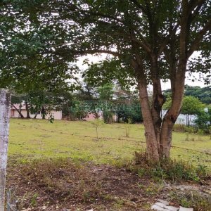 Terreno com 855m², no bairro Salgado Filho em Caxias do Sul para Alugar