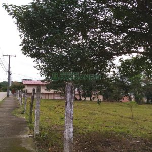Terreno com 855m², no bairro Salgado Filho em Caxias do Sul para Alugar
