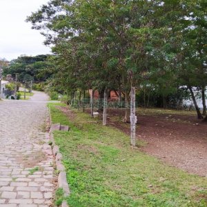 Terreno com 855m², no bairro Salgado Filho em Caxias do Sul para Alugar