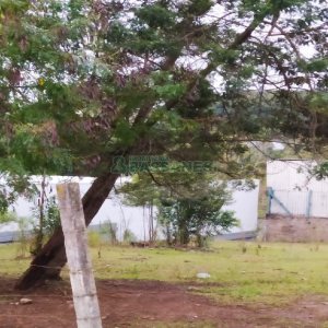 Terreno com 855m², no bairro Salgado Filho em Caxias do Sul para Alugar