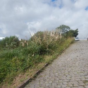 Terreno com 720m², no bairro Sanvitto em Caxias do Sul para Alugar
