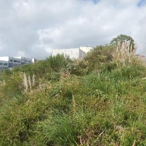 Terreno com 720m², no bairro Sanvitto em Caxias do Sul para Alugar