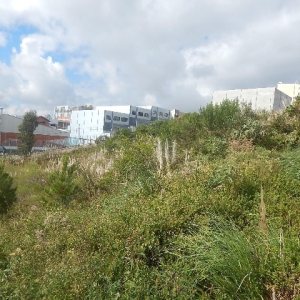 Terreno com 720m², no bairro Sanvitto em Caxias do Sul para Alugar