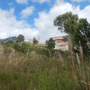 Terreno com 720m², no bairro Sanvitto em Caxias do Sul para Alugar