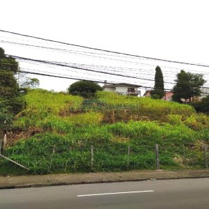 Terreno com 1500m², no bairro Rio Branco em Caxias do Sul para Alugar