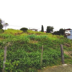 Terreno com 1500m², no bairro Rio Branco em Caxias do Sul para Alugar
