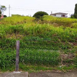 Terreno com 1500m², no bairro Rio Branco em Caxias do Sul para Alugar