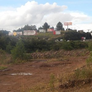 Terreno com 30800m², no bairro Linha Julieta em Farroupilha para Alugar