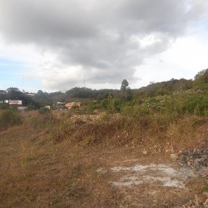 Terreno com 30800m², no bairro Linha Julieta em Farroupilha para Alugar