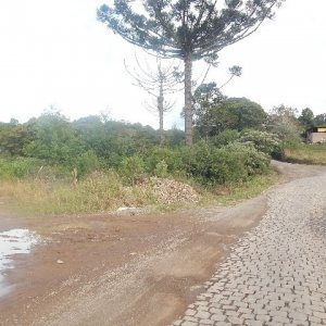 Terreno com 30800m², no bairro Linha Julieta em Farroupilha para Alugar