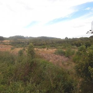 Terreno com 30800m², no bairro Linha Julieta em Farroupilha para Alugar