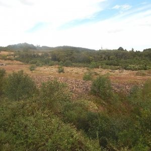 Terreno com 30800m², no bairro Linha Julieta em Farroupilha para Alugar