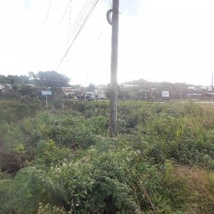 Terreno com 30800m², no bairro Linha Julieta em Farroupilha para Alugar