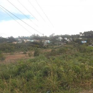Terreno com 30800m², no bairro Linha Julieta em Farroupilha para Alugar