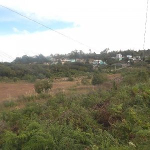 Terreno com 30800m², no bairro Linha Julieta em Farroupilha para Alugar