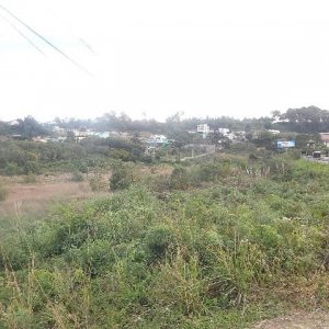 Terreno com 30800m², no bairro Linha Julieta em Farroupilha para Alugar