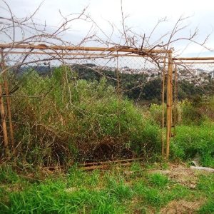 Terreno, no bairro São Victor COHAB em Caxias do Sul para Comprar
