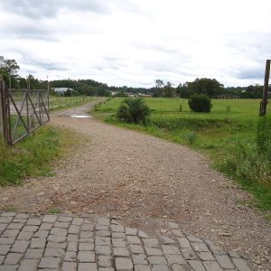 Terreno com 4000m², no bairro Cidade Nova em Caxias do Sul para Alugar