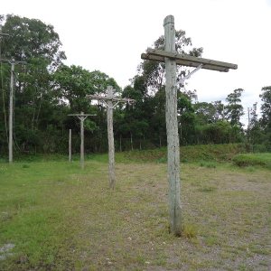 Terreno com 4000m², no bairro Cidade Nova em Caxias do Sul para Alugar