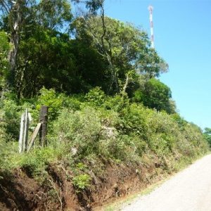 Chácara, no bairro Nossa Senhora do Rosário em Caxias do Sul para Comprar